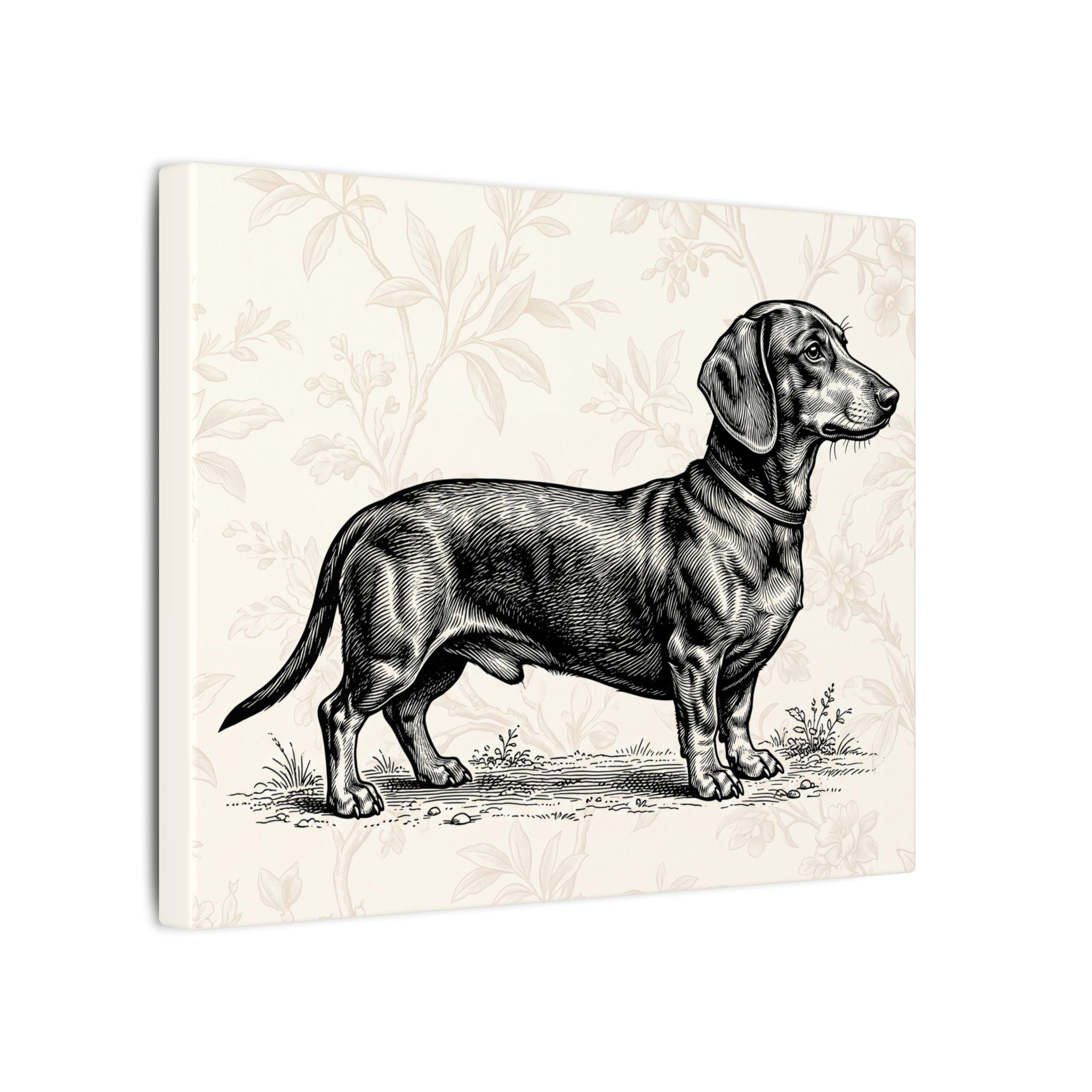 Dachshund Vintage Illustration Matte Canvas Wall Art