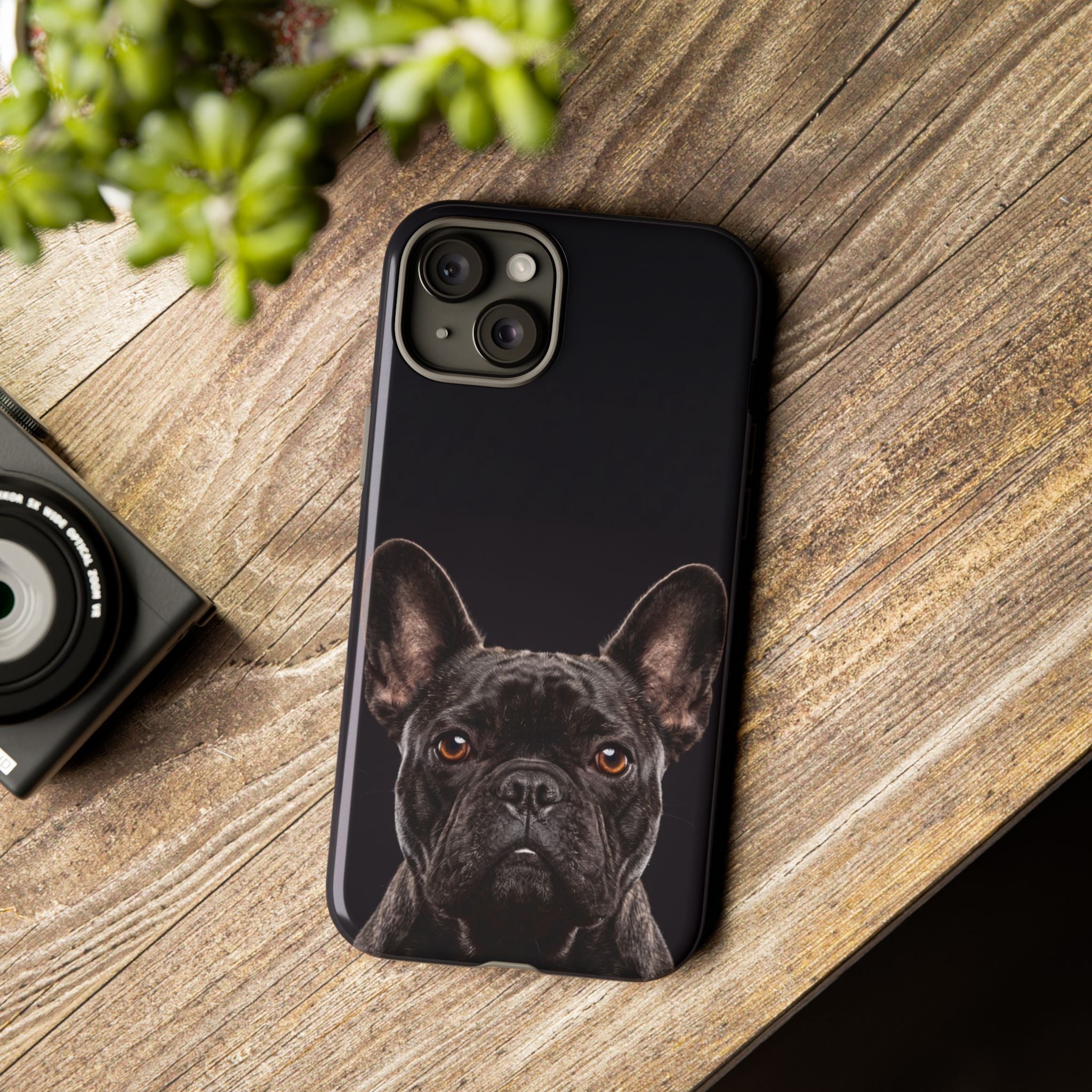 Front-Facing French Bulldog Phone Case | Dramatic Black Studio Portrait | Samsung & iPhone