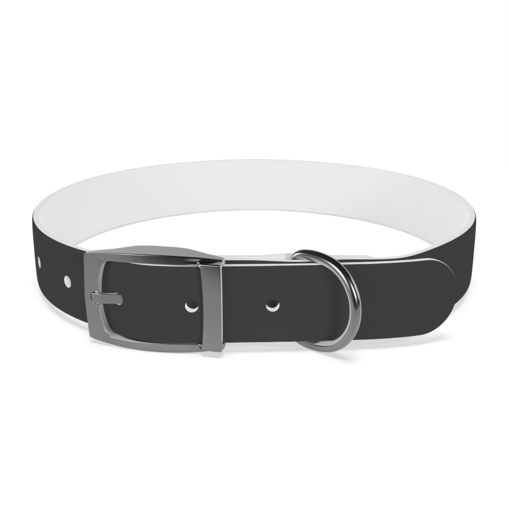 Personalized Dachshund Dog Collar | Custom Name Pet Collar | Sausage Dog Gift