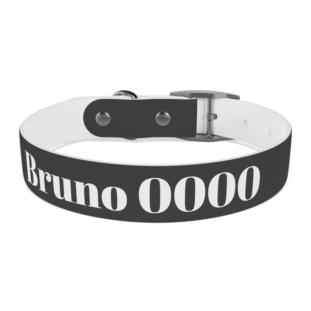 Personalized Dachshund Dog Collar | Custom Name Pet Collar | Sausage Dog Gift
