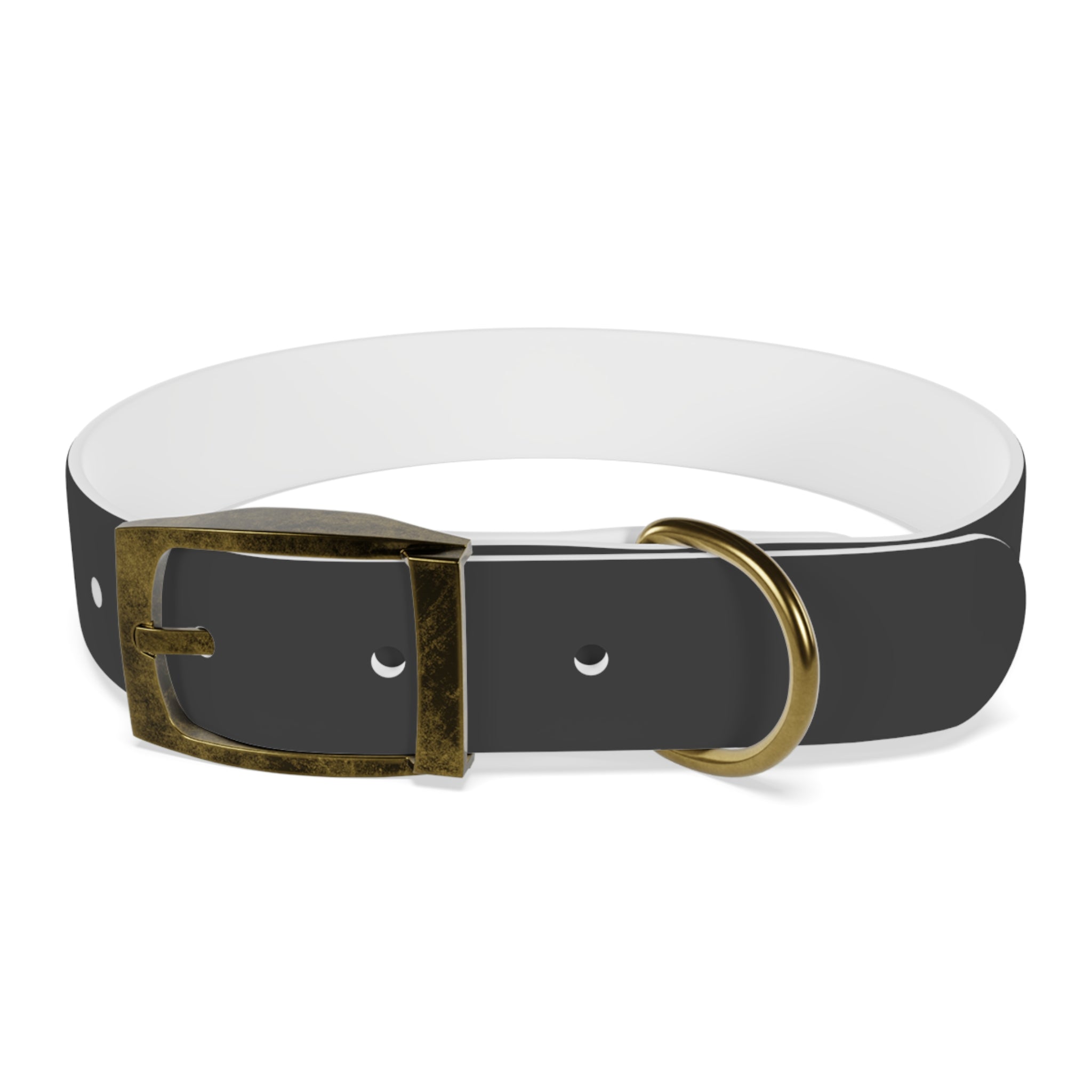 Personalized Dachshund Dog Collar | Custom Name Pet Collar | Sausage Dog Gift