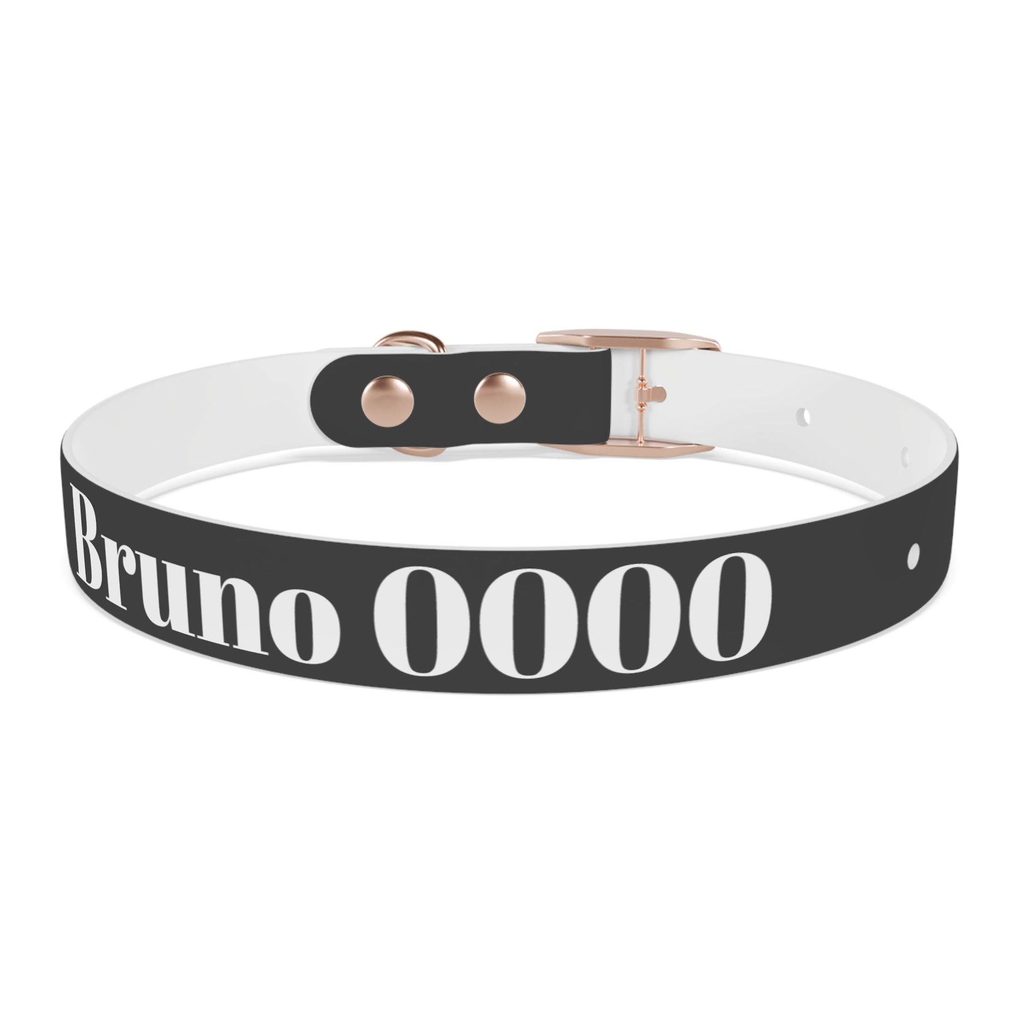 Personalized Dachshund Dog Collar | Custom Name Pet Collar | Sausage Dog Gift