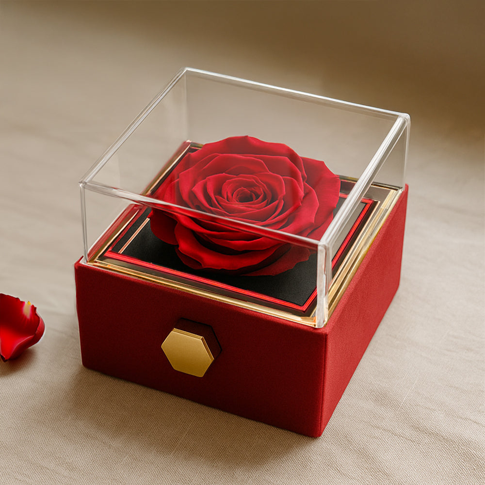Alluring Beauty Necklace – Cubic Zirconia Pendant with Preserved Rose Gift Box