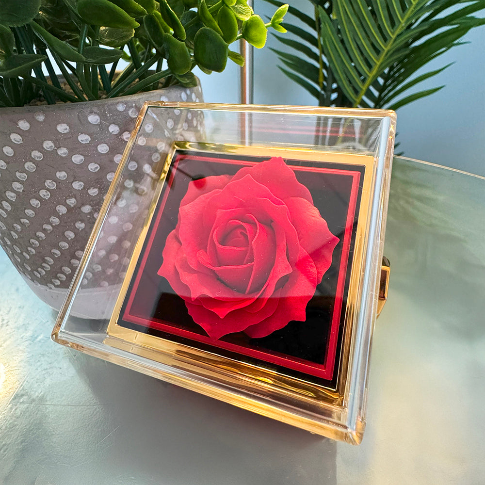 Alluring Beauty Necklace – Cubic Zirconia Pendant with Preserved Rose Gift Box